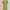 Dress lime big size photo 1