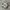 New Balance 530 White Grey photo 1