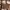 Dior Luxury Casual Crossbody Bag Wanita Brown