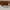 Dior Luxury Casual Crossbody Bag Wanita brown photo 4