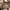 Dior Luxury Casual Crossbody Bag Wanita brown photo 2