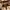 Dior Luxury Casual Crossbody Bag Wanita brown photo 3