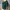 Luxury Blouse Wanita green photo 1