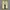 Sepatu Nike Air Max 270 React Gradient Shift photo 6