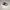 nike air jordan low travis x lv photo 3