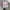 Y2K Crop top Wanita white photo 3