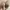 Steve madden uk 39 photo 3
