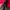 Kappa Vintage Sportswear Windbreaker Pria red photo 4