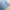 Cardi crop baby blue kancing inara photo 2