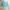 Cardi Crop Baby Blue Kancing Inara