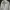 Jones New York Vintage Casual Bomber jacket Pria cream photo 2