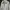 Jones New York Vintage Casual Bomber Jacket Pria Cream