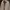 Y2K Casual Harrington jacket Pria cream photo 2