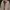 Y2K Casual Harrington Jacket Pria Cream