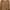 Jumpsuit big size photo 3