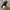 CONVERSE CHUCK TAYLOR ALL STAR MONO BLACK Low FULL OX
