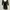 Office Lady in Black photo 1