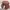 Stussy big logo canvas bucket hat photo 2