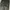 HICKORY STRIPE PANTS BLACK photo 4