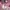 H&M Casual Formal shirt Pria pink photo 4