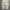 BAGGY JEANS ADJUSTABLE WHITE BY MODS photo 4