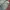 True religion joey patchwork bootcut jeans photo 7