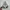 Nike air Jordan low photo 2