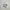 Nike air Jordan low photo 1