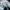 Nike air Jordan low ice blue photo 6