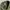 BAGGY CARGO PANTS ADJUSTABLE S/C photo 5