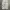 BAGGY CARGO SUPER WIDE GU UNIQLO WHITE PANTS photo 6