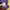 Kaos Outdoor Lowe Alpine Baselayer Purple Gunung Hiking Trek photo 4
