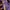 Kaos Outdoor Lowe Alpine Baselayer Purple Gunung Hiking Trek photo 2