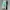 Converse Casual Sneakers Pria green photo 3