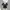 GRL Croptop Serut Black photo 1