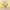 Croptop Kancing Yellow 