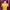 Croptop Kancing Yellow 