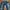 Blue Blue Japan Streetwear Jeans Pria blue photo 3