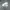 ADIDAS FORUM MID RS XI SECOND 43  photo 2