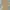 “Simple, Cozy, Classy” – Knit Dress Beige Favoritmu! photo 1