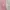 Baju Dress Pink Batu Berkilau photo 2