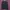 Jacket Boomber Ben Sherman