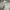 White Short  photo 1