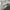 Covernat Y2K Luxury Hoody Pria silver gray photo 2