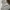 Covernat Y2K Luxury Hoody Pria silver gray photo 4