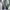 (Size 31/32) Zara Straight Wide Leg Baggy Blue Jeans photo 4