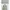 Buzz Ricksons Streetwear Casual Casual pants Pria cream photo 3