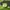 OPPO Enco Buds2 Lime Green  photo 2