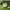OPPO Enco Buds2 Lime Green 