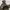 Columbia Realtree Puffer Mountain Hooded Adventure  photo 4
